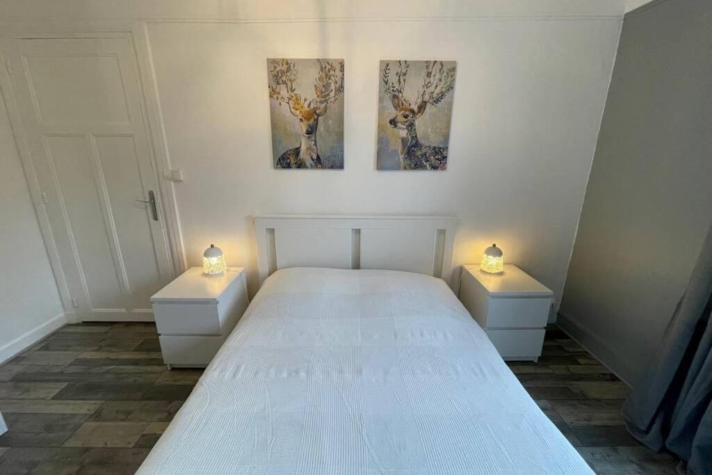 Appartement Moderne Boulogne Sur Mer Proche De La Plage Et Nausicaa Buitenkant foto